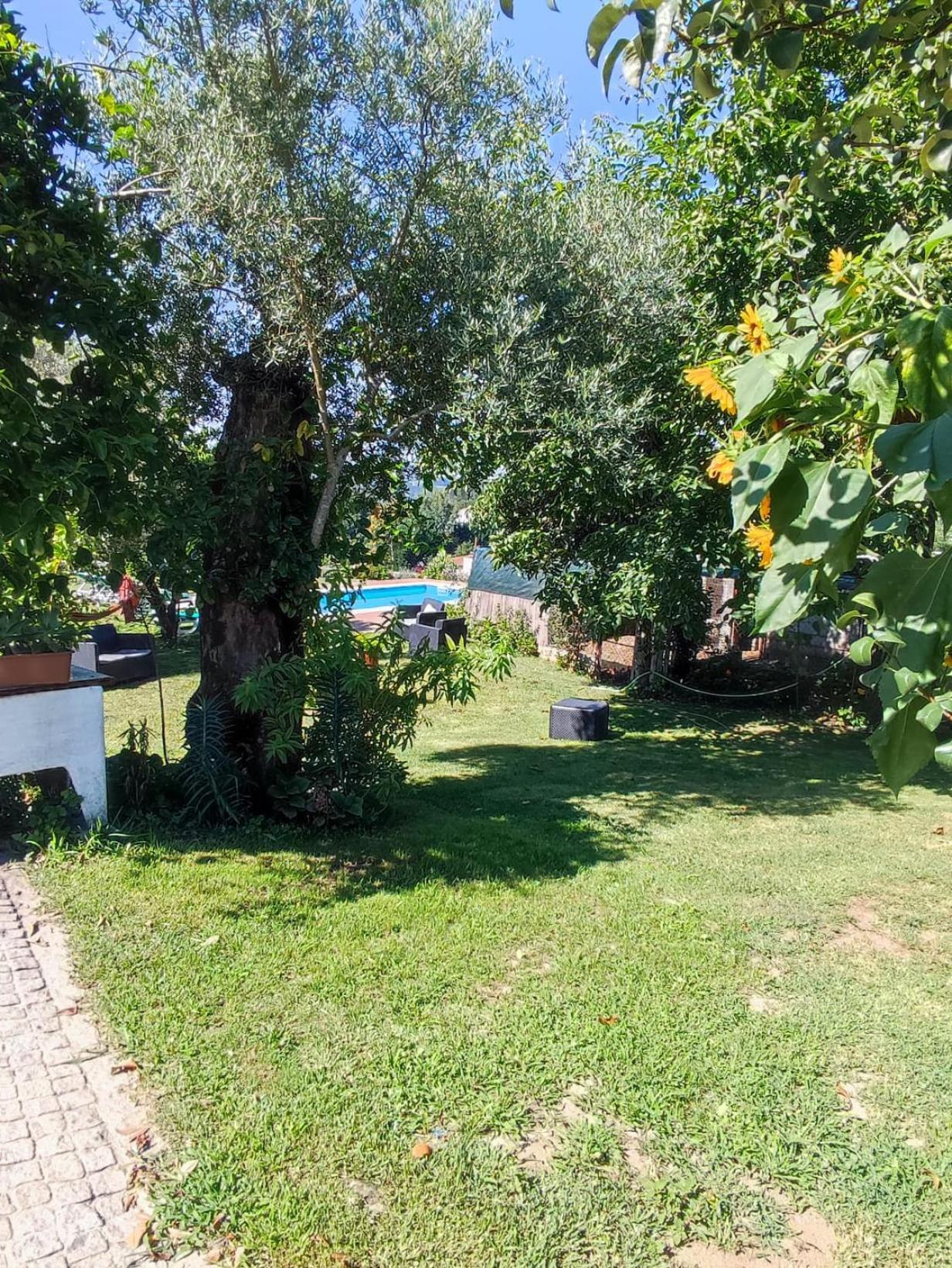 Casa Matreiro Villa Prozelo Exterior foto